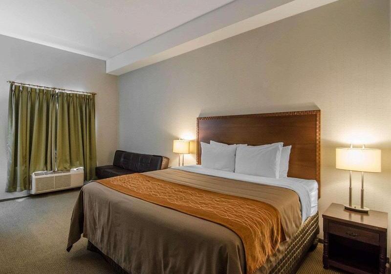 高级客房, Metropol