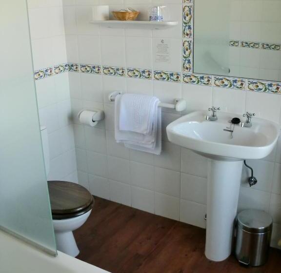 اتاق استاندارد, Roma