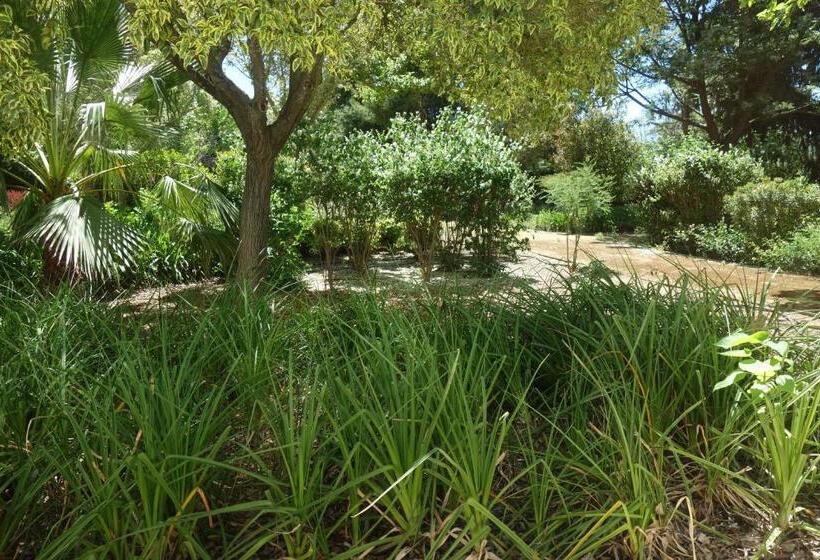 Номер Стандарт, Parador De Antequera