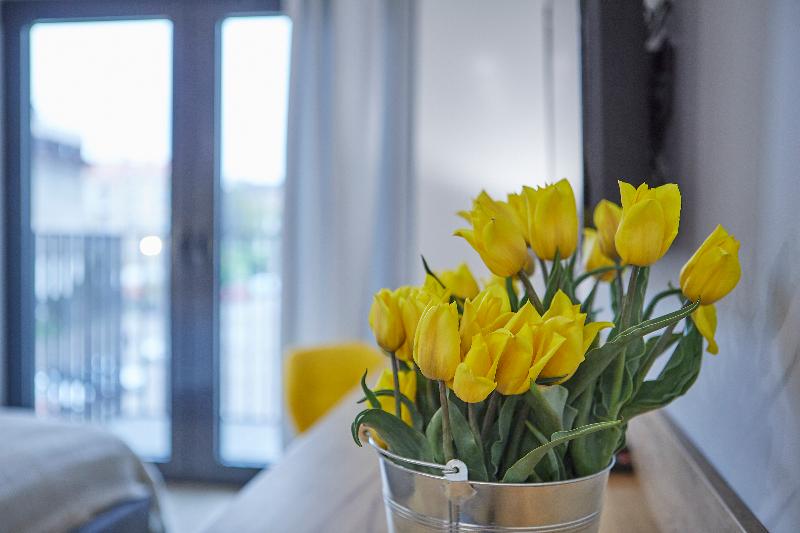 标准三人间, Sb Corona Tortosa