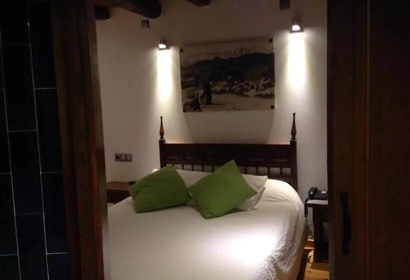 StandaardKamer, Can Borrell