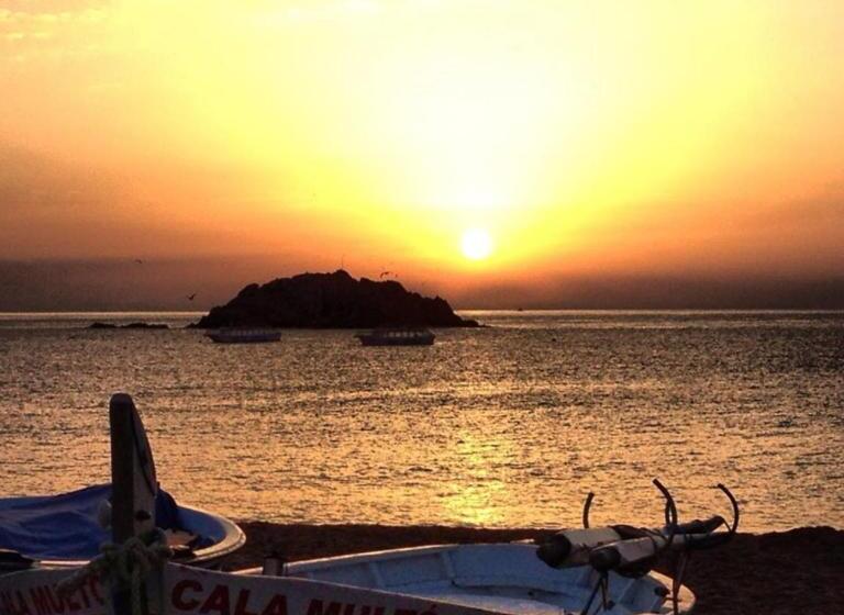 エコノミーシングルルーム, Miami