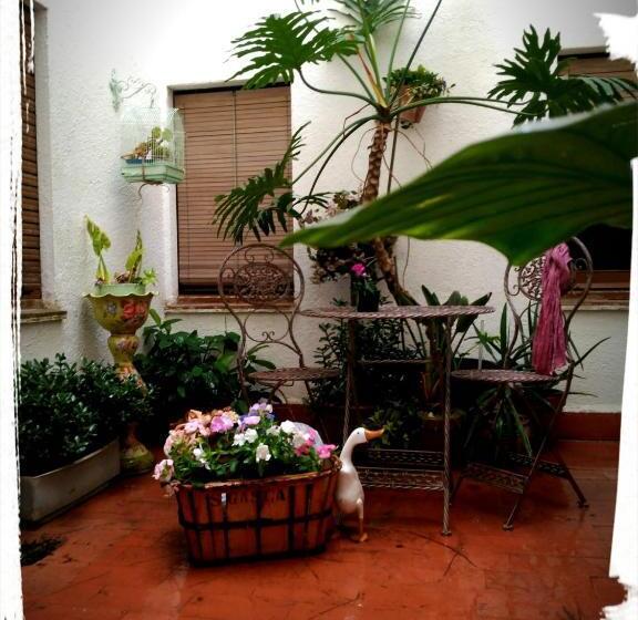 エコノミーシングルルーム, Miami