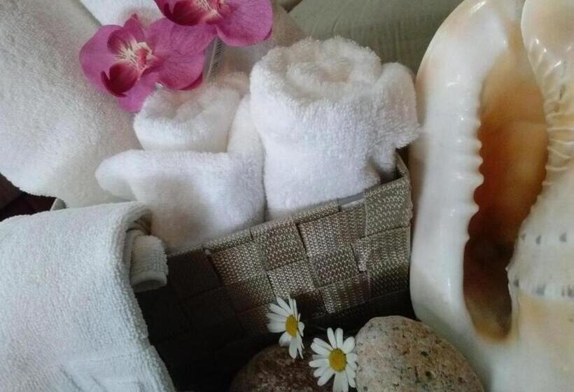 バルコニー付きシングルスタンダードルーム, Miami