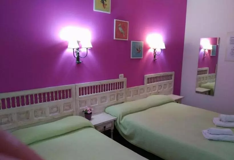 Quarto Triplo Standard Interior, Miami