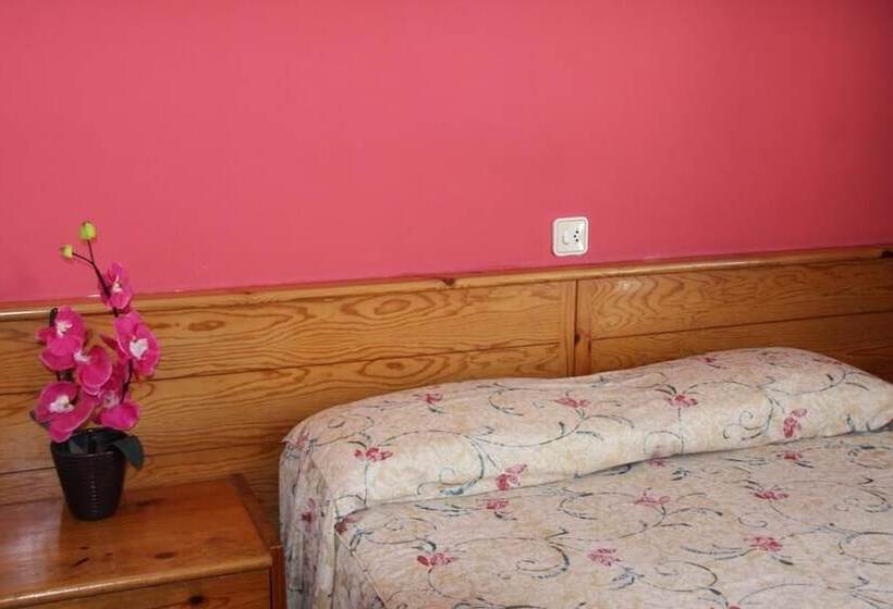 スタンダードシングルルーム, Hostal Magnolia