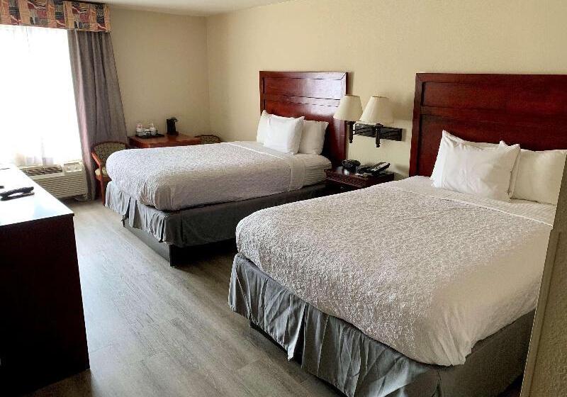 اتاق استاندارد, Hostal Europa Punico