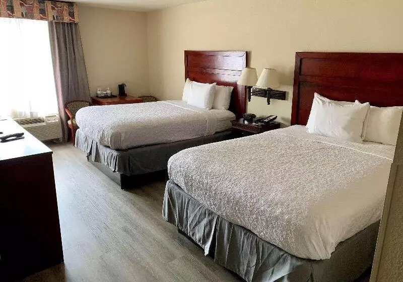 اتاق استاندارد, Hostal Europa Punico