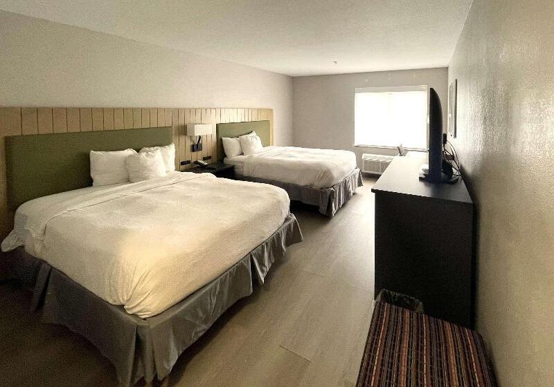 اتاق استاندارد, Hostal Europa Punico