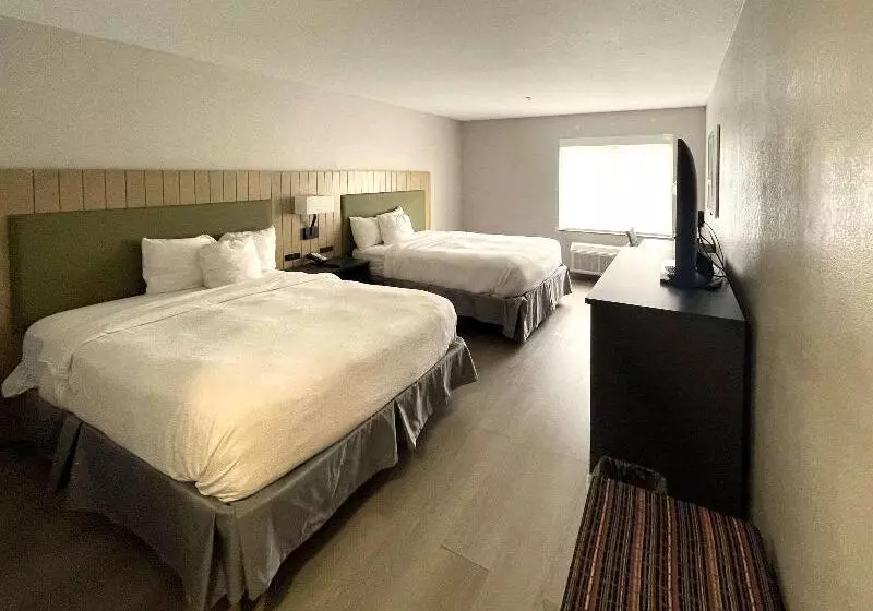اتاق استاندارد, Hostal Europa Punico