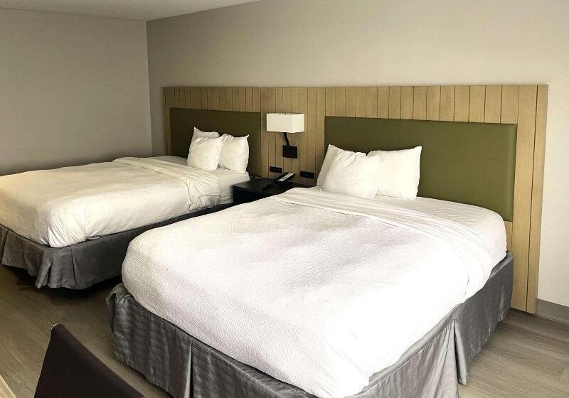 اتاق استاندارد, Hostal Europa Punico