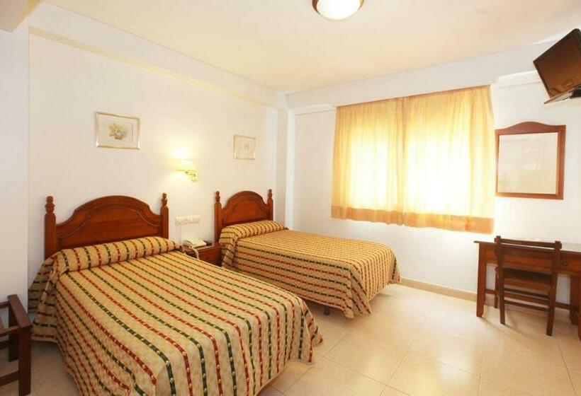 Camera Standard, El Cisne Verde