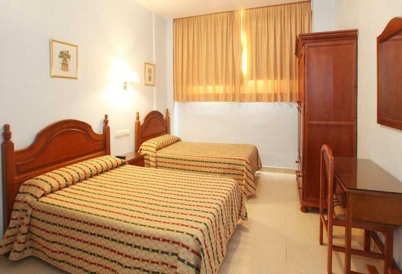 Camera Standard, El Cisne Verde