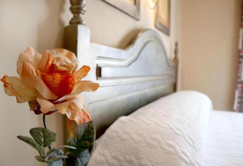 标准单人间, Hostal Victoria