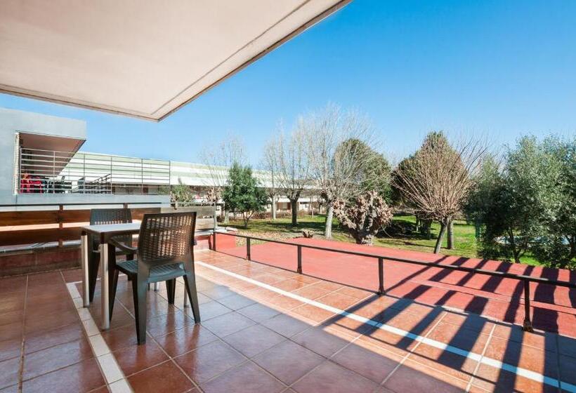 اتاق استاندارد, Los Olivos