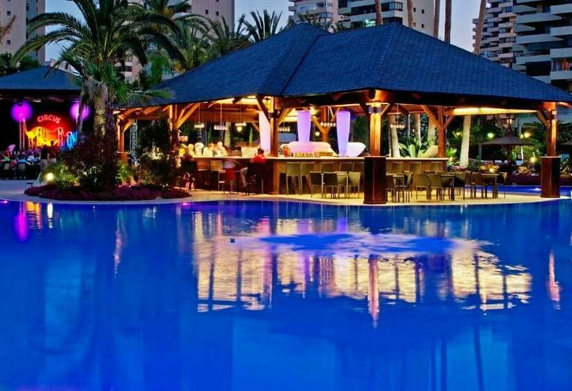 エコノミールーム, Sol Principe