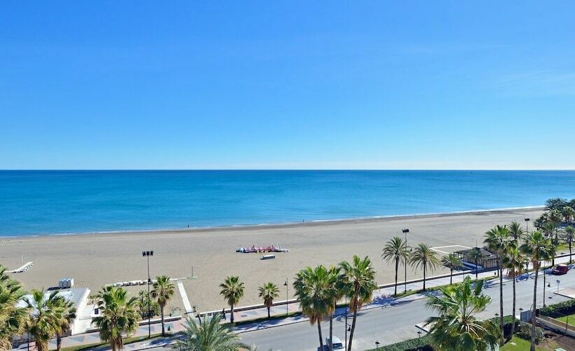 ジュニアスイート, Sol Principe