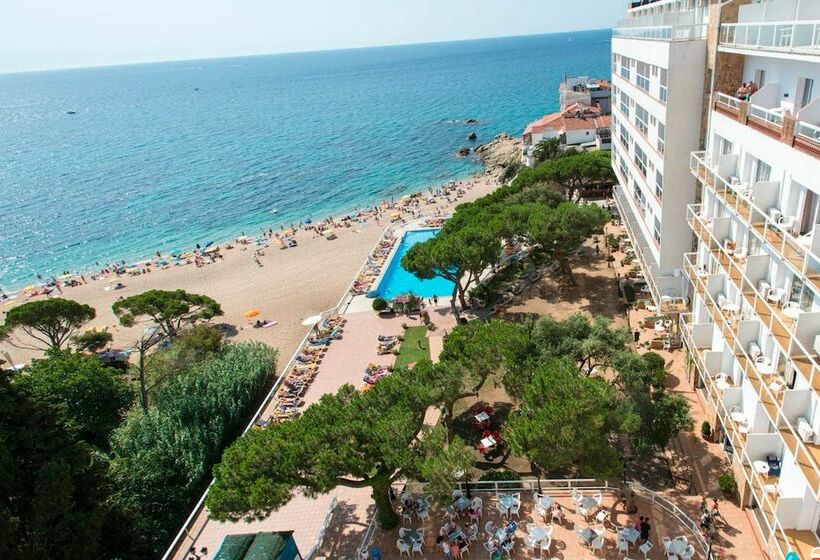 Четырехместный Номер Superior, htop Caleta Palace