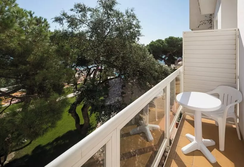 اتاق استاندارد چهار تخته, htop Caleta Palace