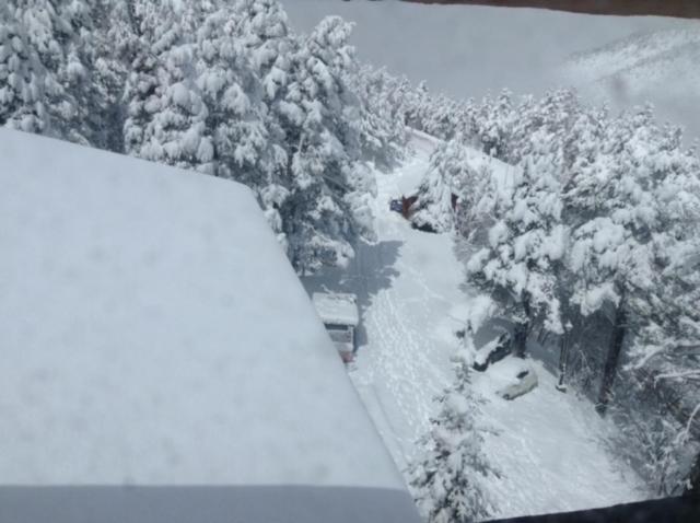 スタンダードルーム, Supermolina