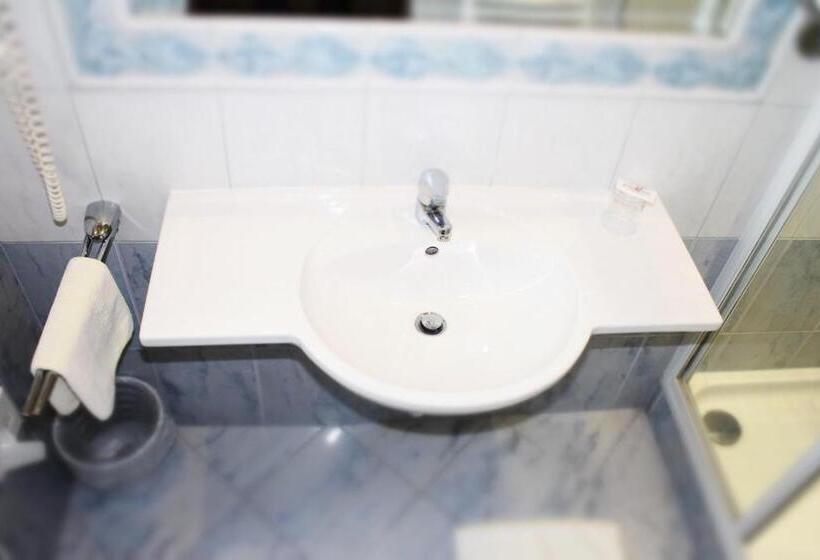 单人基本间, Altstadthotel Mosser