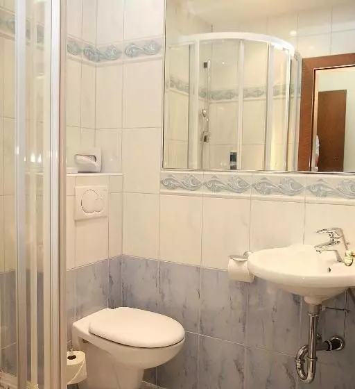 اتاق عادی یک تخته, Altstadthotel Mosser