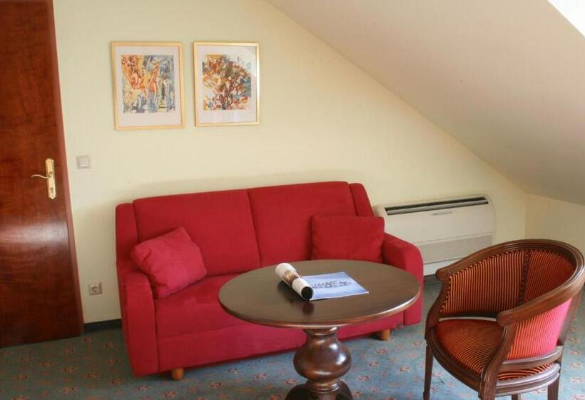Люкс, Altstadthotel Mosser