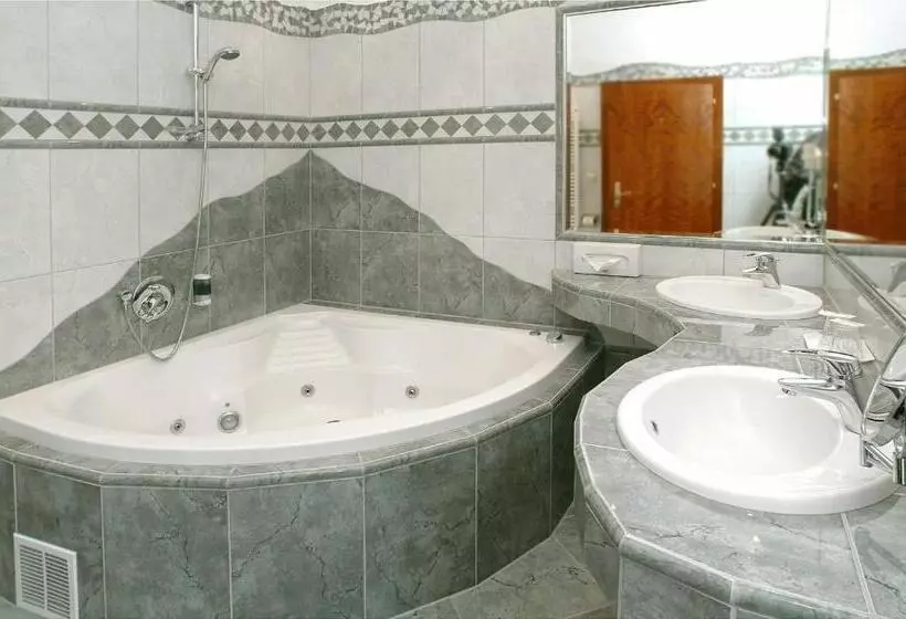اتاق استاندارد با وان آب گرم, Altstadthotel Mosser
