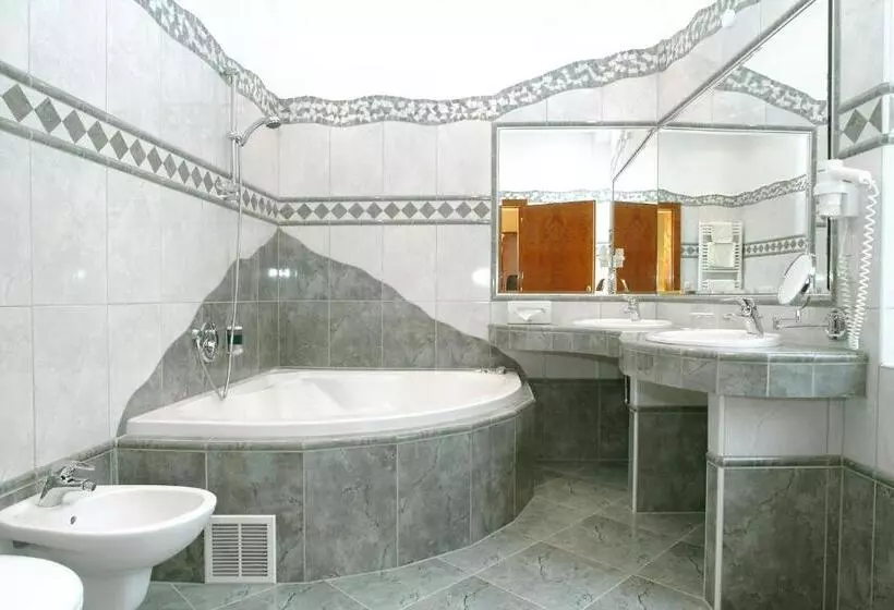اتاق استاندارد با وان آب گرم, Altstadthotel Mosser