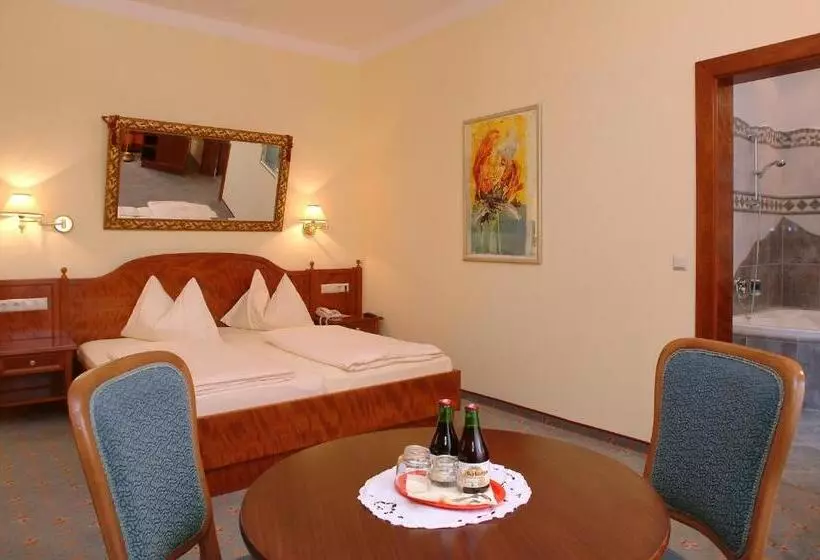 اتاق استاندارد با وان آب گرم, Altstadthotel Mosser