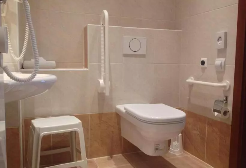 اتاق استاندارد برای معلولان, Altstadthotel Mosser