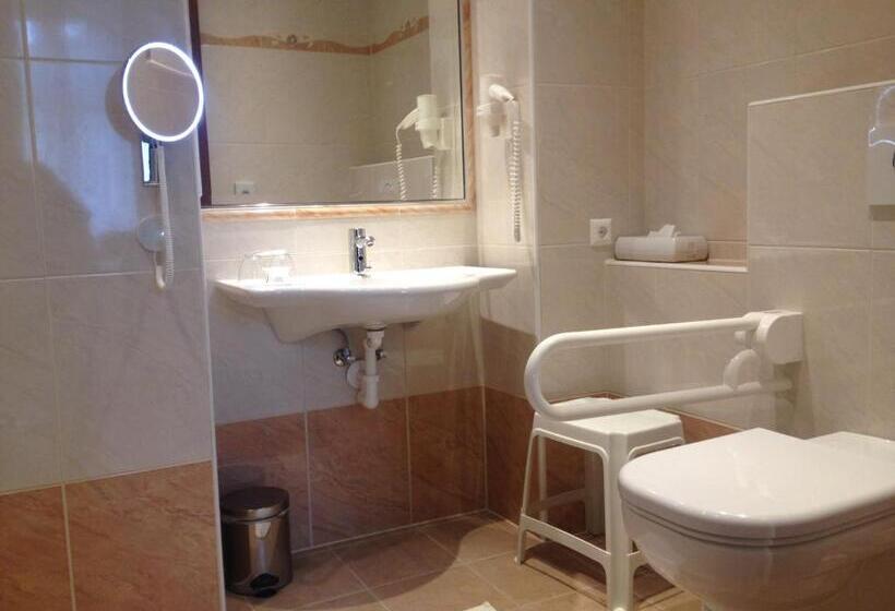Номер Стандарт Адаптированный для Инвалидов, Altstadthotel Mosser