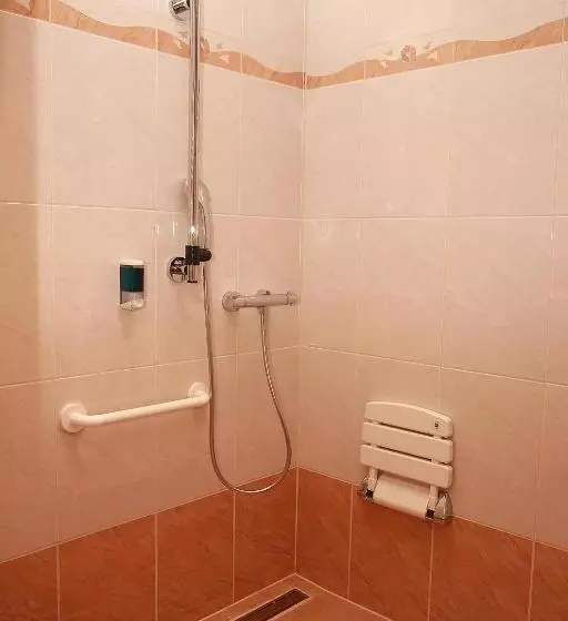 اتاق استاندارد برای معلولان, Altstadthotel Mosser