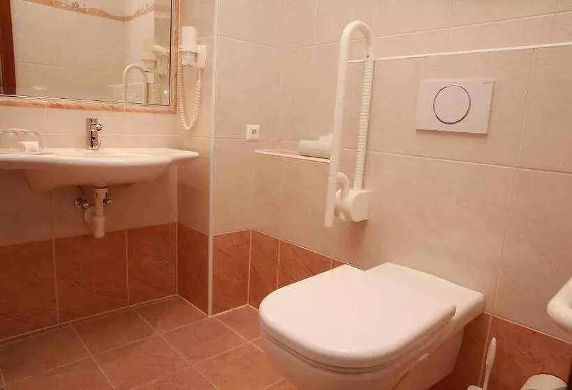 اتاق استاندارد برای معلولان, Altstadthotel Mosser