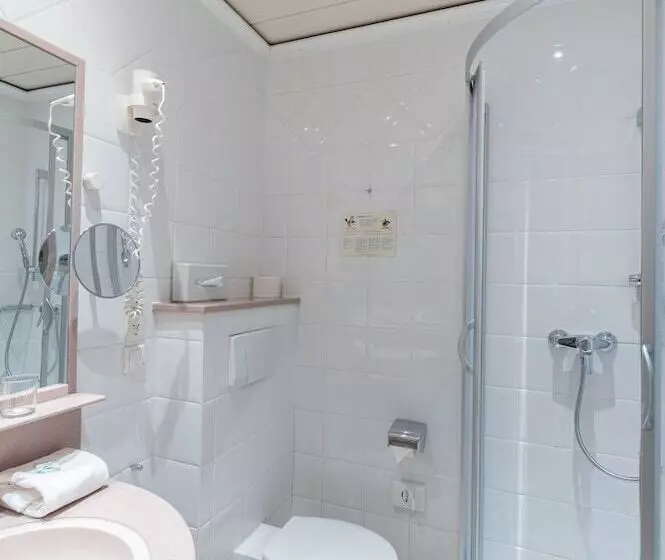 اتاق استاندارد یک نفره, Altstadthotel Wolf Dietrich
