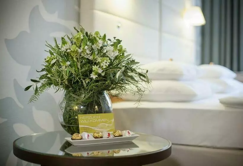 اتاق سوپریور, Boutique Hotel Das Tigra