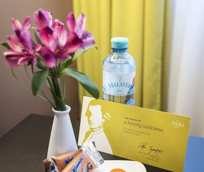 اتاق راحتی, Boutique Hotel Das Tigra