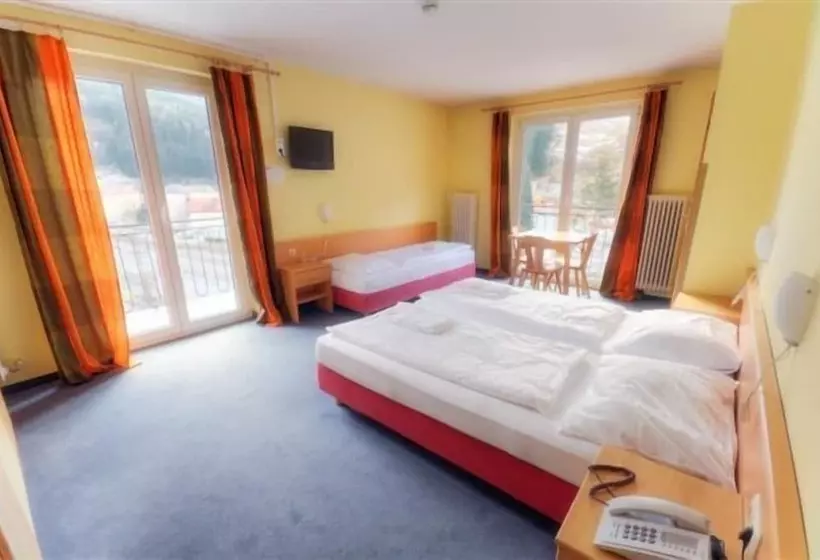 اتاق استاندارد, Euro Youth Hotel & Krone
