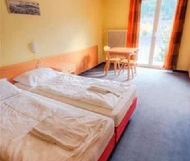 غرفة قياسية, Euro Youth Hotel & Krone