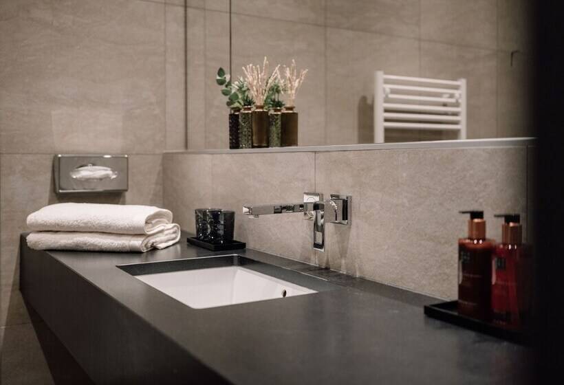 スタンダードルーム, Johann Schladming