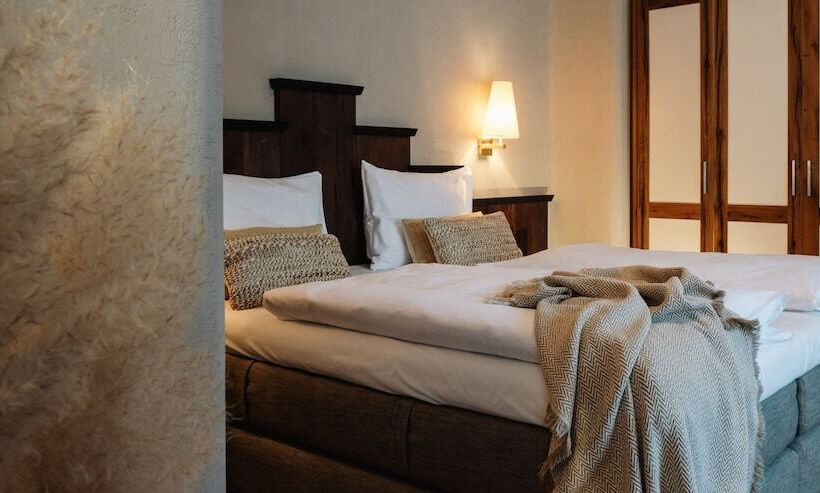 スタンダードルーム, Johann Schladming