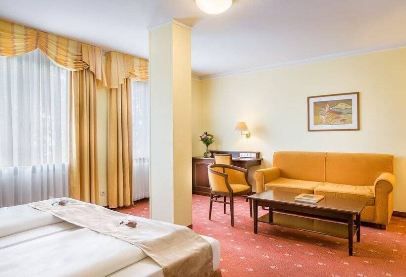 高级大房间, Select Hotel Prinz Eugen Wien