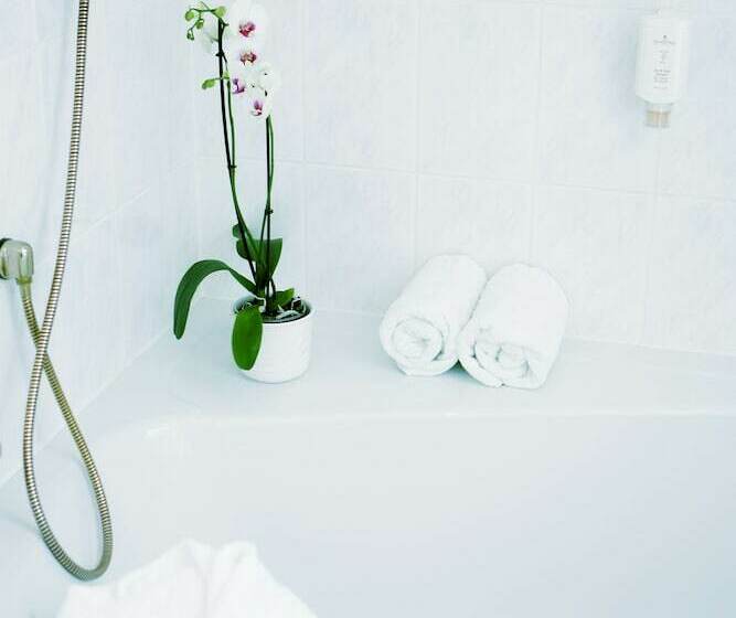 اتاق استاندارد یک نفره, Scesaplana