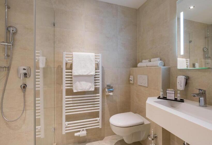 이코노미 싱글 룸, & Spa Sonne 4 Sterne Superior