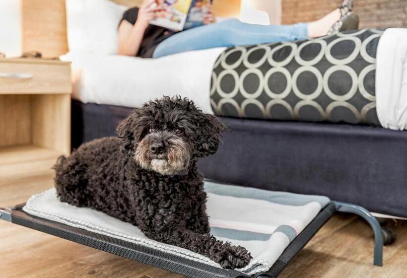 חדר סטנדרט עם מיטת קווין, Adelaide Road Motor Lodge