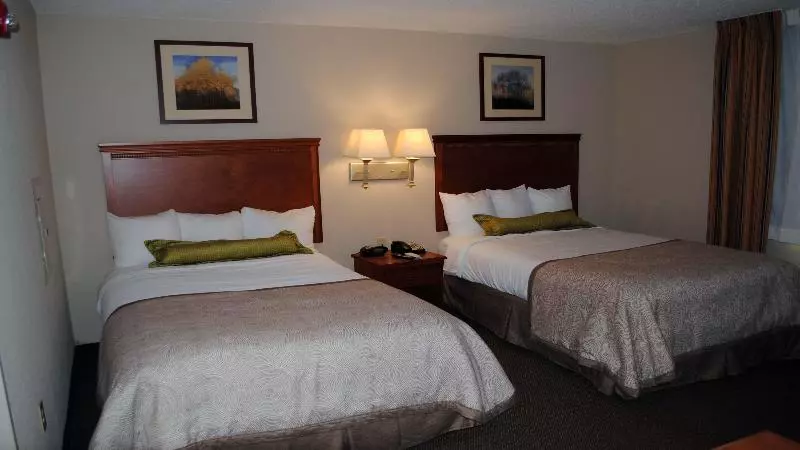 エコノミールーム, Adelaide Road Motor Lodge