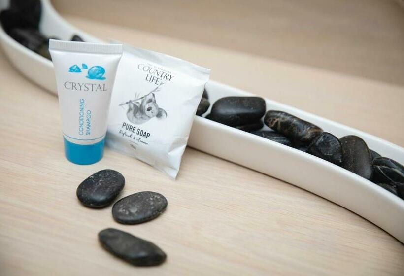 标准间, Castle Motor Lodge