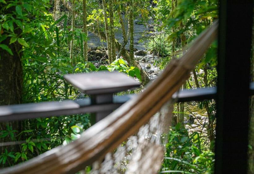 スタンダードスタジオ, Silky Oaks Lodge