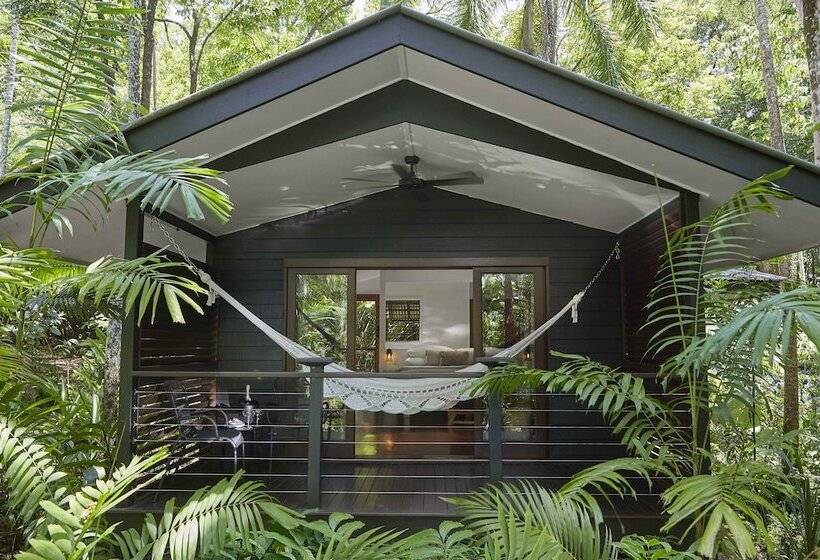 スタンダードスタジオ, Silky Oaks Lodge