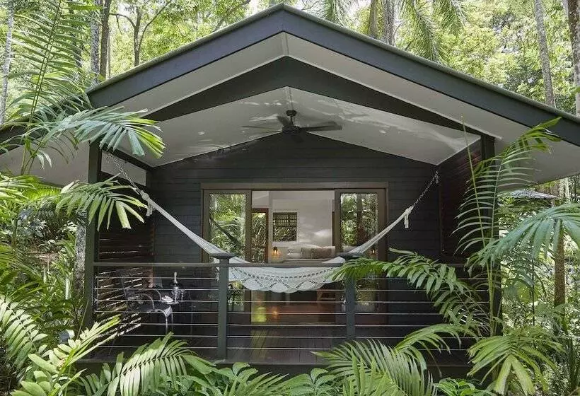 スタンダードスタジオ, Silky Oaks Lodge